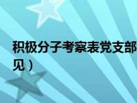 积极分子考察表党支部考察意见（积极分子考察表党支部意见）