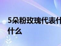 5朵粉玫瑰代表什么意思 5朵粉玫瑰的意思是什么