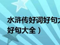 水浒传好词好句大全100000个（水浒传好词好句大全）