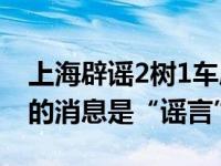 上海辟谣2树1车成密接需大白驻守 你所听到的消息是“谣言”