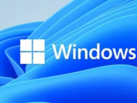 微软将本地帐户引入 Windows 11