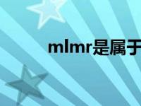 mlmr是属于杰克琼斯吗（mlm）