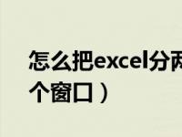 怎么把excel分两个窗口打开（excel分开多个窗口）