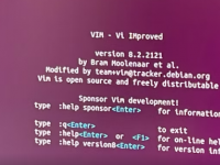 如何在 Ubuntu 上安装 Vim