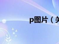 p图片（关于p图片的介绍）