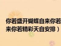 你若盛开蝴蝶自来你若精彩天自安排意思（你若盛开蝴蝶自来你若精彩天自安排）