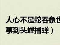 人心不足蛇吞象世事到头（人心不足蛇吞象世事到头螳捕蝉）