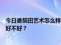 今日番茄田艺术怎么样？班里有几个孩子，有人说贵。到底好不好？