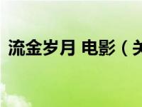 流金岁月 电影（关于流金岁月 电影的介绍）