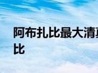 阿布扎比最大清真寺全称 阿联酋首都阿布扎比