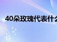 40朵玫瑰代表什么意思 40朵玫瑰花语介绍