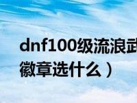 dnf100级流浪武士徽章（dnf流浪武士白金徽章选什么）