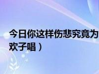 今日你这样伤悲究竟为了谁是什么歌（歌词可惜你是他的人欢子唱）