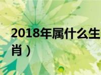 2018年属什么生肖属相（2018年是属什么生肖）