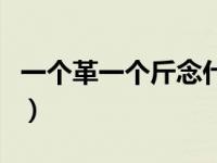 一个革一个斤念什么字（一个革一个斤念什么）