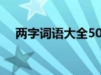 两字词语大全50000个（两字词语大全）