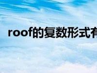 roof的复数形式有哪些（roof的复数形式）