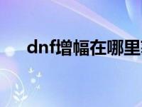 dnf增幅在哪里获得（dnf增幅在哪里）