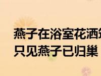 燕子在浴室花洒筑巢 这真是不见主人来洗澡只见燕子已归巢