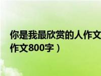 你是我最欣赏的人作文800字环卫工人（你是我最欣赏的人作文800字）