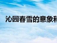 沁园春雪的意象和意境（沁园春雪的意象）