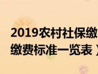 2019农村社保缴费标准（2019农村养老保险缴费标准一览表）