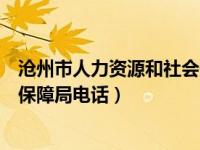 沧州市人力资源和社会保障局公告（沧州市人力资源和社会保障局电话）