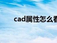 cad属性怎么看（cad属性在哪里找）