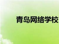 青岛网络学校（青岛网络学院官网）