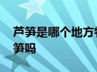 芦笋是哪个地方特产 你知道山东曹县盛产芦笋吗