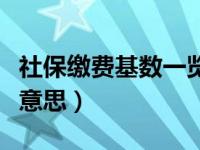 社保缴费基数一览表（医保的缴费基数是什么意思）