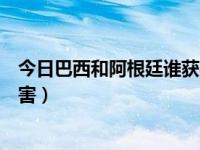 今日巴西和阿根廷谁获得过美洲杯冠军（巴西和阿根廷谁厉害）