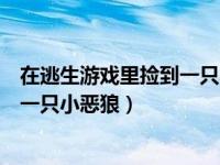 在逃生游戏里捡到一只小恶狼去趣书网（在逃生游戏里捡到一只小恶狼）