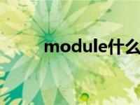 module什么意思 module的意思