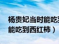 杨贵妃当时能吃到西红柿吗 杨贵妃当时能不能吃到西红柿）