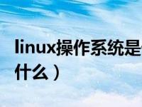 linux操作系统是什么系统（linux操作系统是什么）