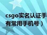 csgo实名认证手机号（csgo荣耀认证用户没有常用手机号）