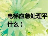 电梯应急处理平台（96333电梯应急平台是什么）