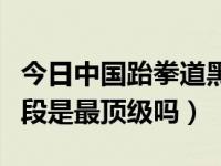 今日中国跆拳道黑带九段有谁（跆拳道黑带九段是最顶级吗）