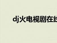 dj火电视剧在线观看在线观看（dj火）