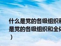 什么是党的各级组织和全体党员必须遵守的行为规则（13 ()是党的各级组织和全体党员必须遵守的行为规则 是维护党的）