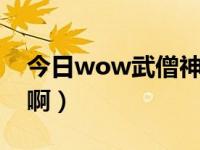 今日wow武僧神器（WOW武僧用什么武器啊）