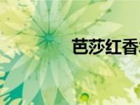 芭莎红香水（芭莎红官网）