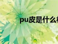 pu皮是什么材质（pu皮简单介绍