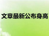 文章最新公布身高 18岁出道29岁被文章捧红