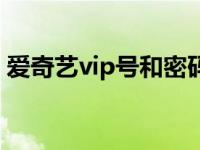 爱奇艺vip号和密码最新更新（爱奇艺vip号）