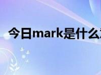 今日mark是什么意思（Mark是什么意思）