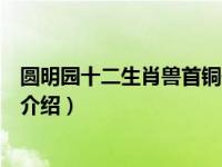 圆明园十二生肖兽首铜像（关于圆明园十二生肖兽首铜像的介绍）