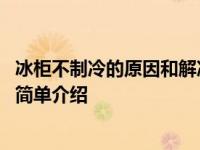 冰柜不制冷的原因和解决方法 冰柜不制冷的原因和解决方法简单介绍