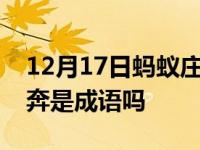 12月17日蚂蚁庄园答案哪个是成语（喜大普奔是成语吗